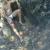 lashiv