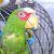monstruo1208_24651