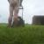 nakedmowerman