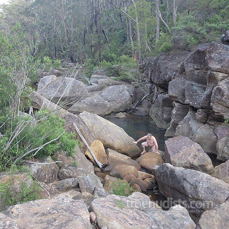 Vince2021 nudist picture