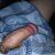 8inch_penis