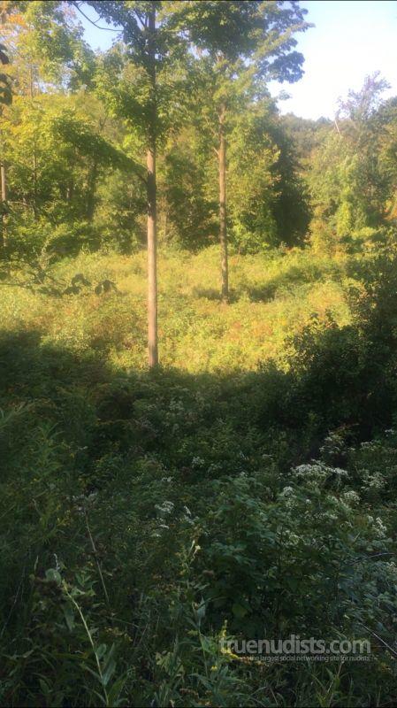 nudeyrudy_uv5643 nudist picture