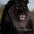 Wildlife67