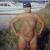 nakedbeach