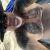 naturist_qj9124