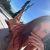 nudist_ch6211