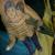 notclothed_fo5799