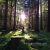 naturist_nx1114_18691