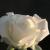 anshansh