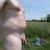 NudistBH