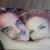 MTfantasies62