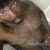 nudeyrudy_ot61