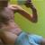 naturistensport