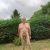 kernowmale