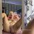 Oliviasmith_hb2885