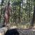 George_naturist