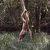 naturist_ra8988