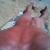 nawty_sabeachbum