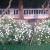 CHANDU2686