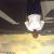 notclothed_ri6744