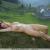 nudistjeff1973
