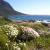 sandybay