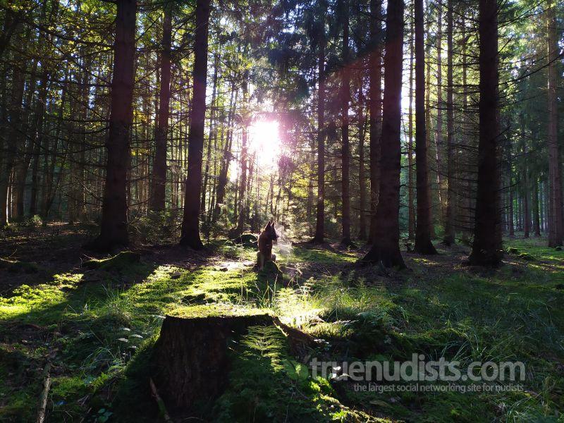 naturist_nx1114_18691 nudist picture