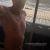 Qld568