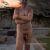 placidguy