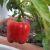 Nudista_mex82
