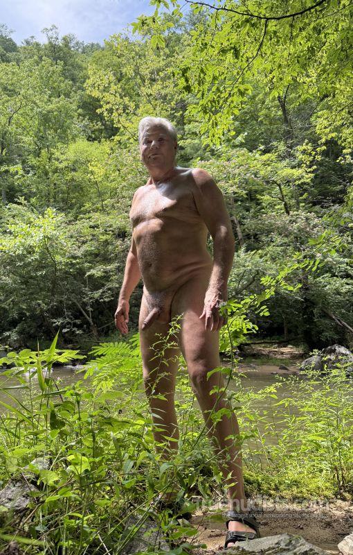 Nakedpaint nudist picture