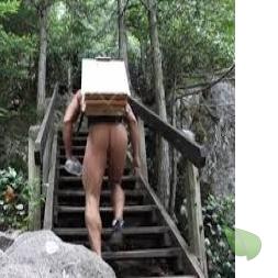 A man enjoying nature in the woods