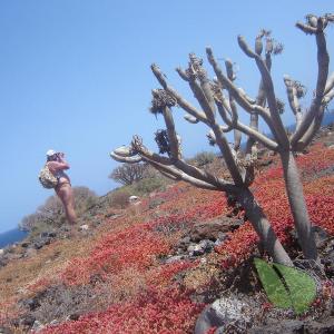 A dude in the wilderness