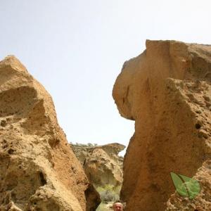 A male trekking out and about