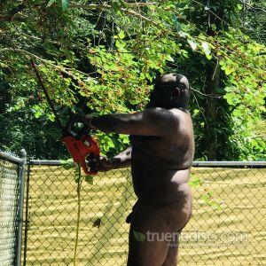 A man in nature