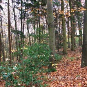 Solo man outdoors