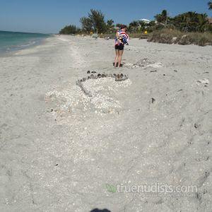 One girl on the beach