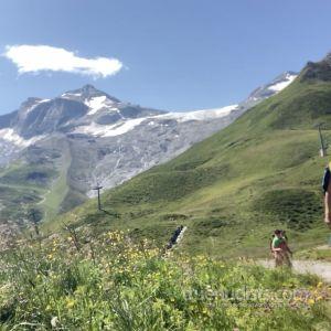 Solo male in nature